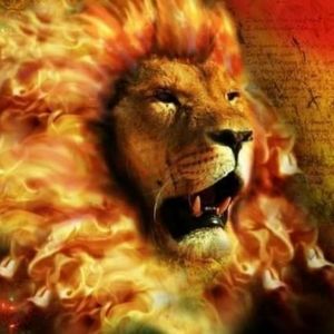 Meet your Posher, Samuel